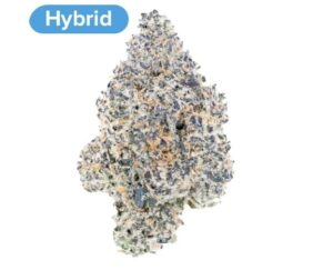 sour diesel